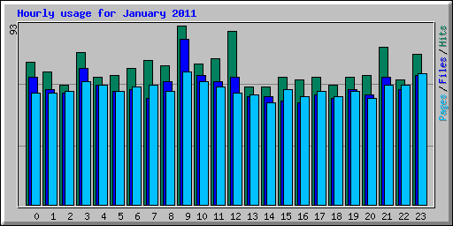 Hourly usage for January 2011