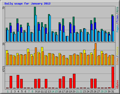 Daily usage for January 2012